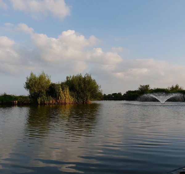 Lookout Lake - Angel of the North Fishing Lakes