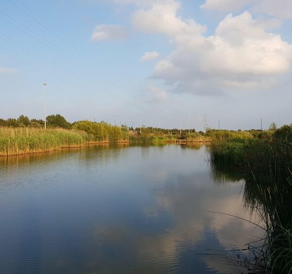 Lookout Lake - Angel of the North Fishing Lakes