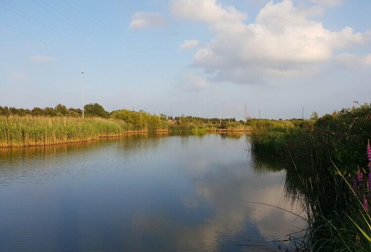 Lookout Lake - Angel of the North Fishing Lakes