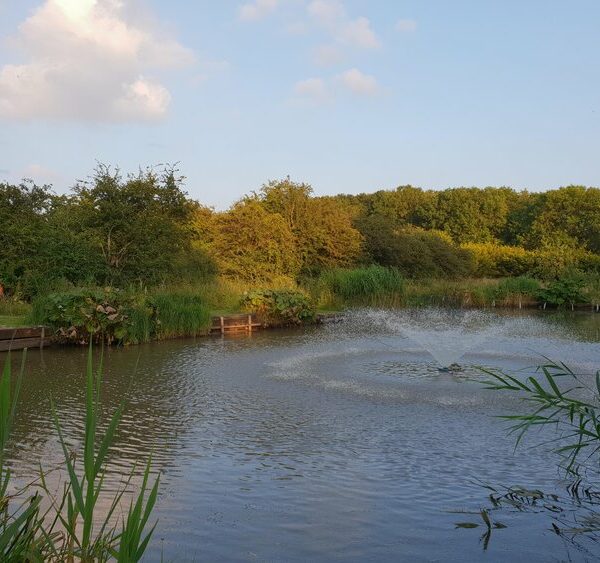 Angel of the North Fishing Lakes