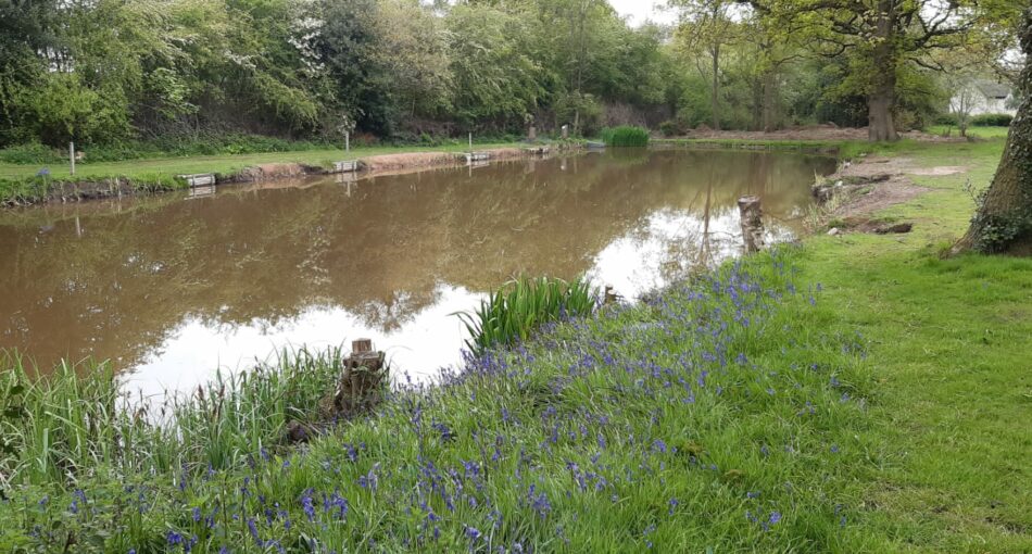 Bottom Pool at Coppice Lane Pools in Staffordshire