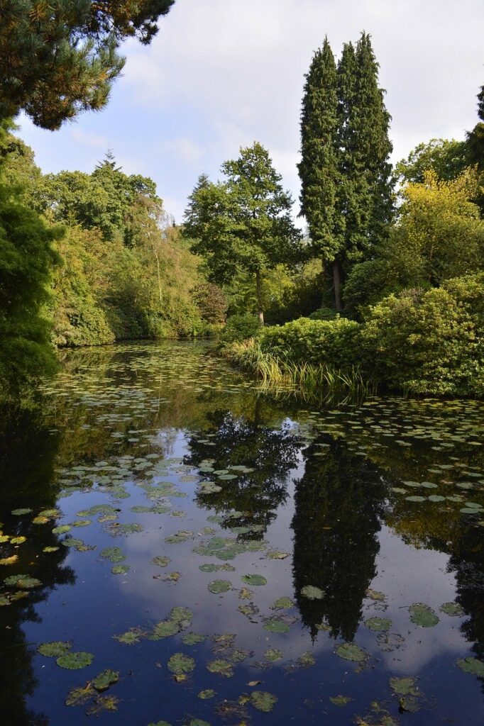 Fishing in Cheshire