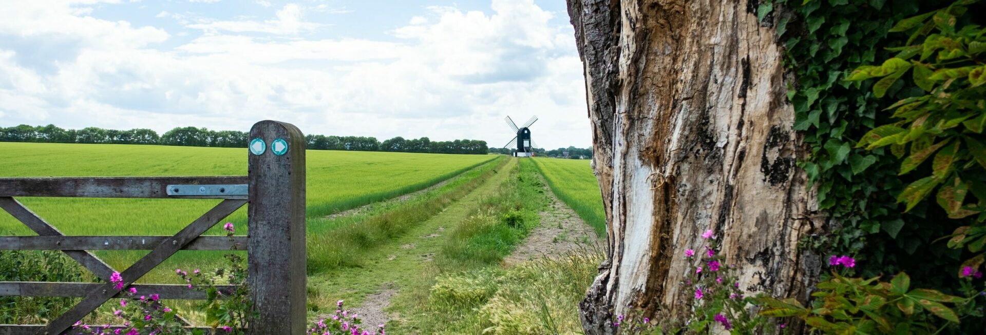 Bedfordshire