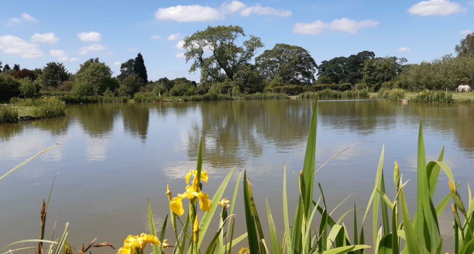 Willow Pool at Coppice Lane Pools in Staffordshire