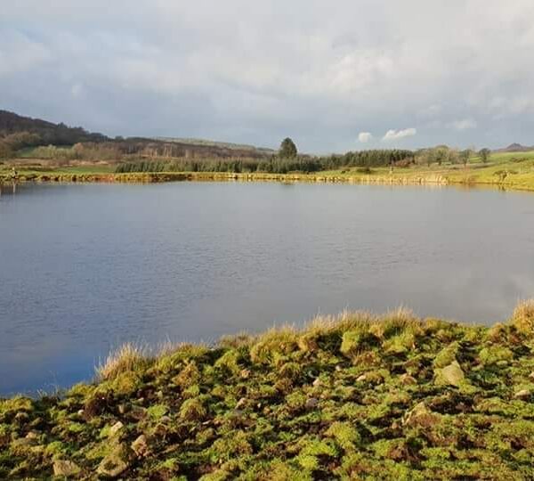 Fairgirth Trout Loch at Dalbeattie in Dumfries and Galloway