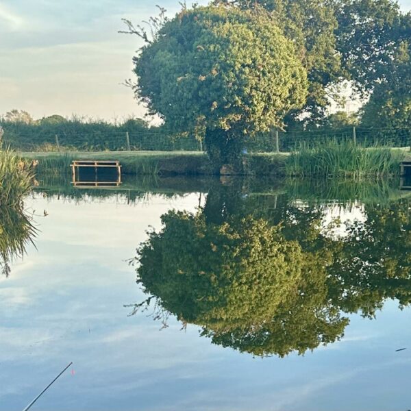 Pool House Farm Fishery in Sutton Coldfield near The Belfry Hotel and Golf Course