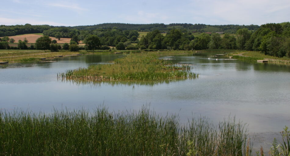 Bury Hill Fishery