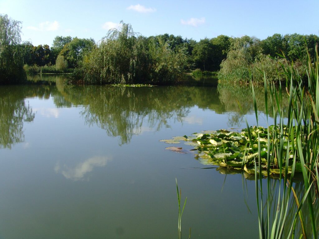 Furnace Lakes Fishery