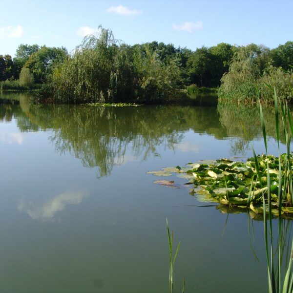 Furnace Lakes Fishery