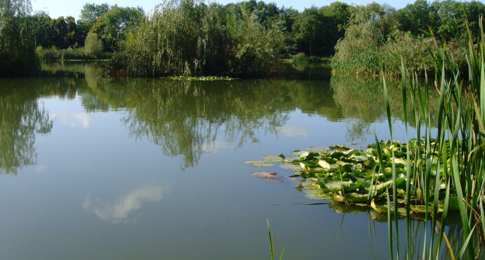 Furnace Lakes Fishery