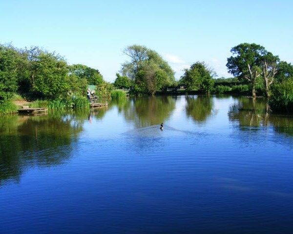 Fishing at Pool House Farm