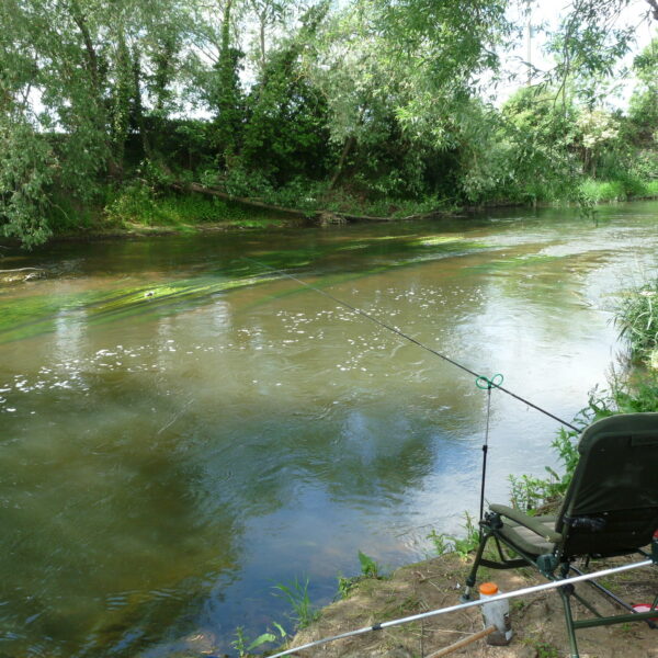 Anchor Meadow