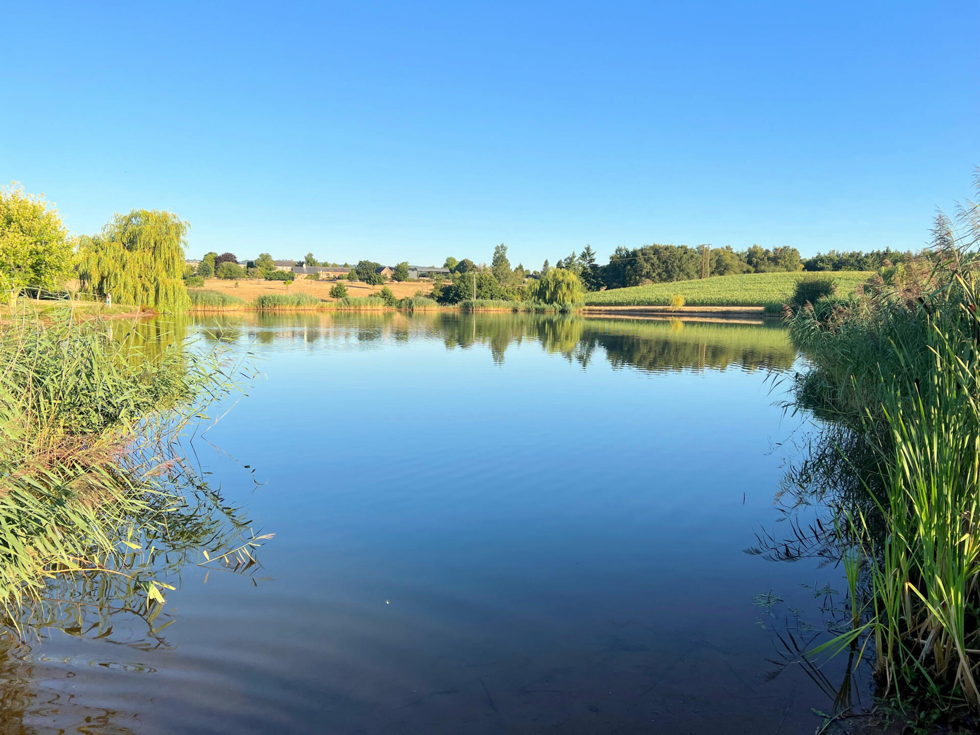 Andy s Fishing Lake and Old Barn House Fisheries