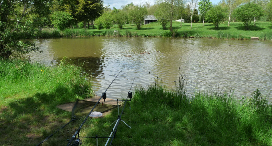 Astwood fishery