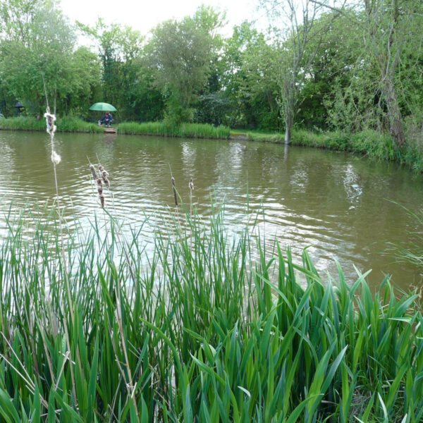 Astwood fishery