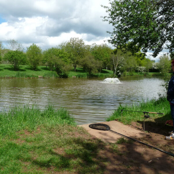 Astwood fishery