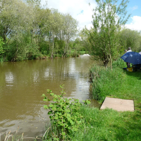 Astwood fishery