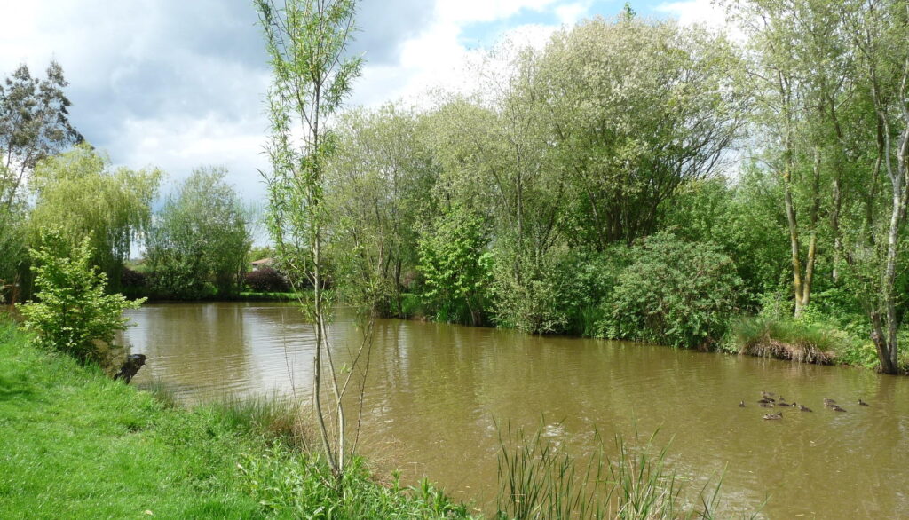 Astwood Fishery