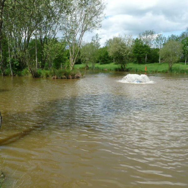 Astwood fishery