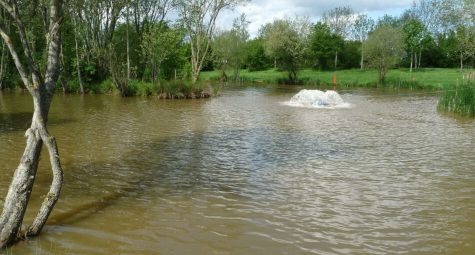 Astwood fishery