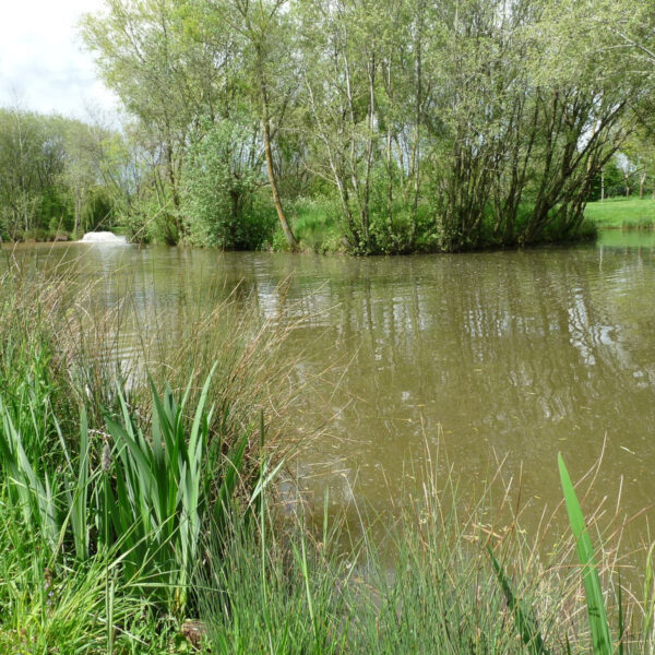 Astwood fishery