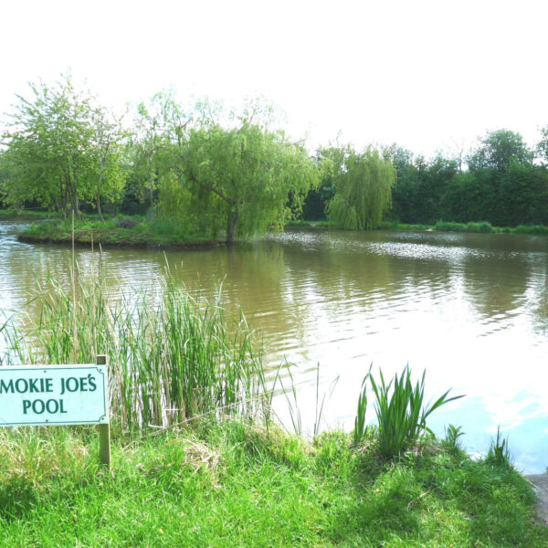 Astwood fishery