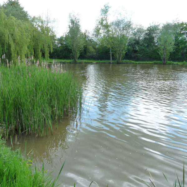 Astwood fishery