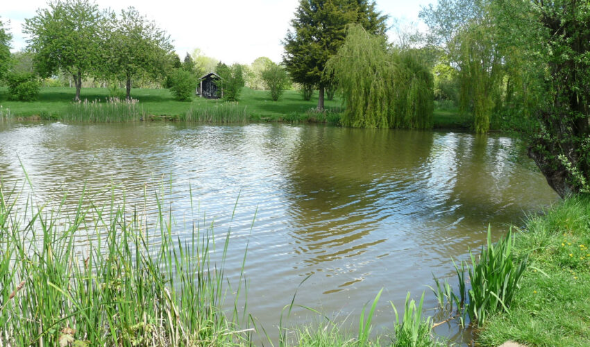 Astwood fishery