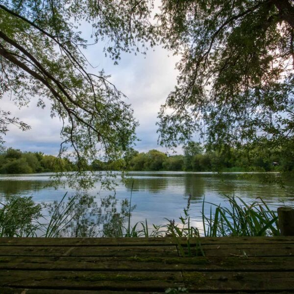 Bluebell Lakes