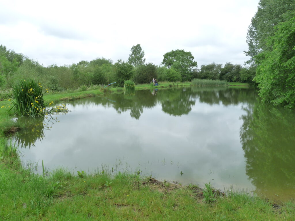 Butlers Hill Fishery