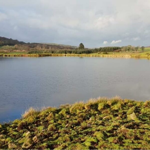 Fairgirth Trout Loch at Dalbeattie in Dumfries and Galloway