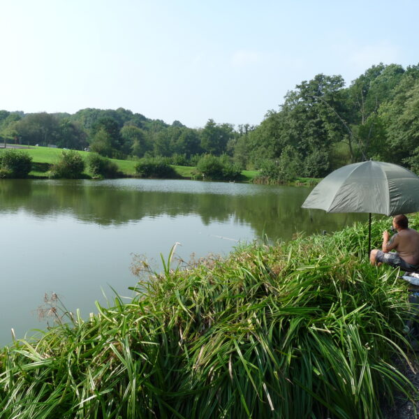 Mucky Meadow at Furnace Mill Fishery in Worcestershire