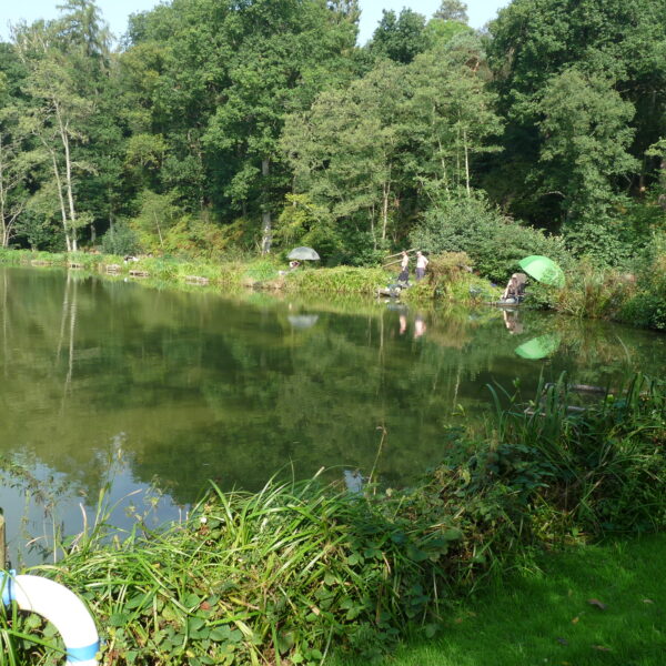 Willow Pool at Furnace Mill Fishery in Worcestershire