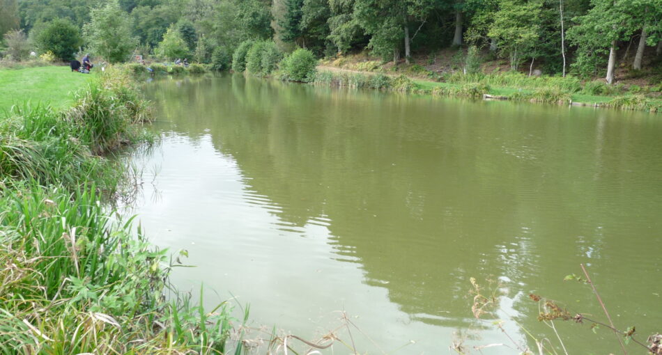 Mill Pool at Furnace Mill Fishery near Kidderminster