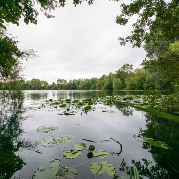 Bluebell Lakes