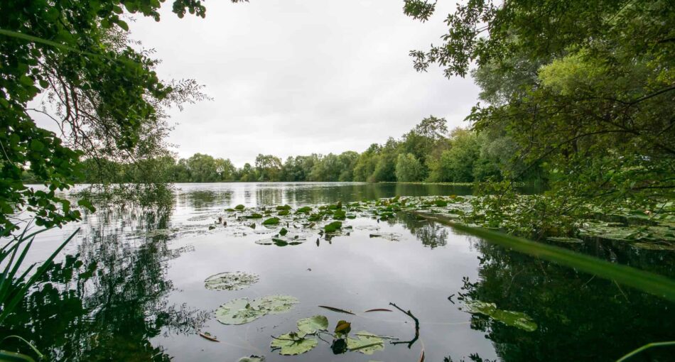 Bluebell Lakes