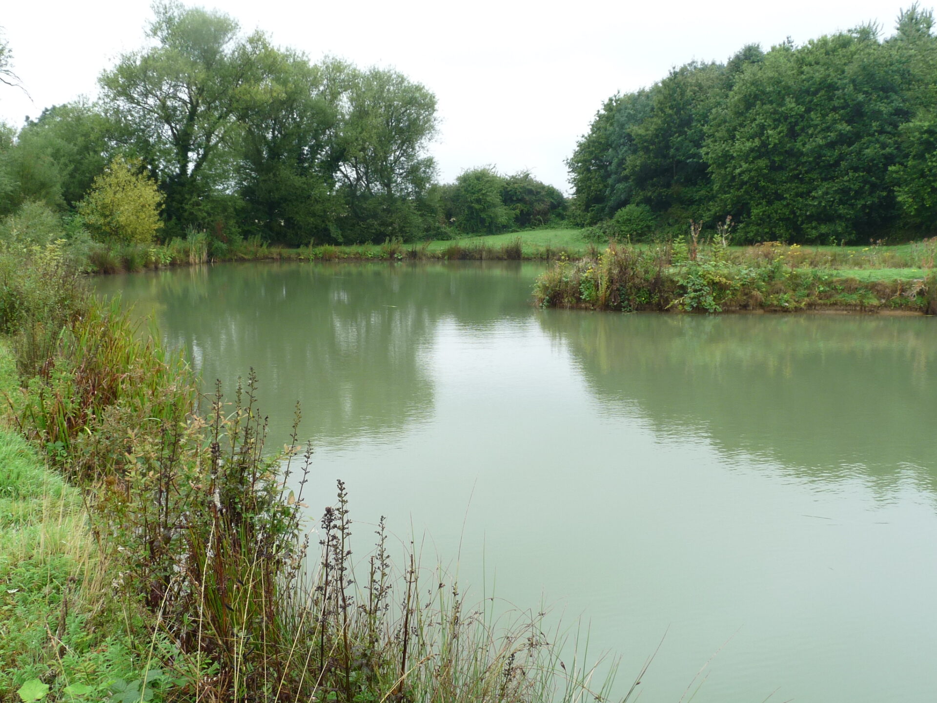 Little Fishery Farm Fisheries.co.uk