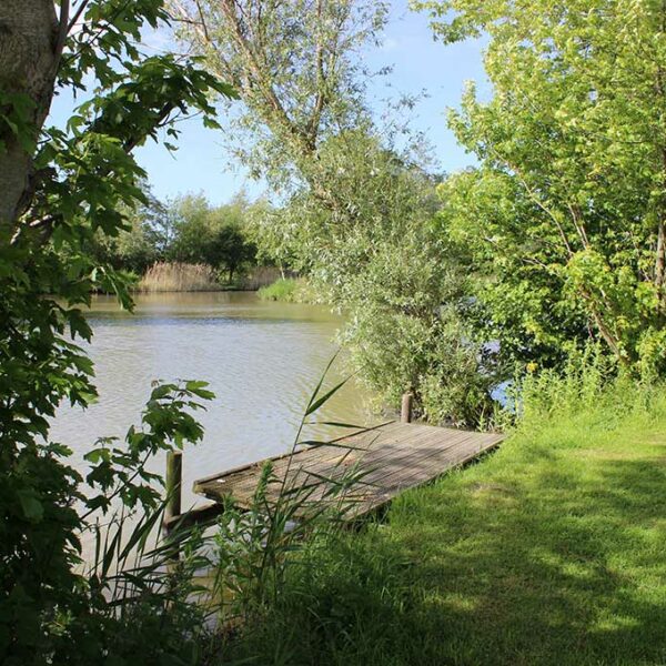 Another shot of Moors Lake at Avalon Fisheries in Somerset