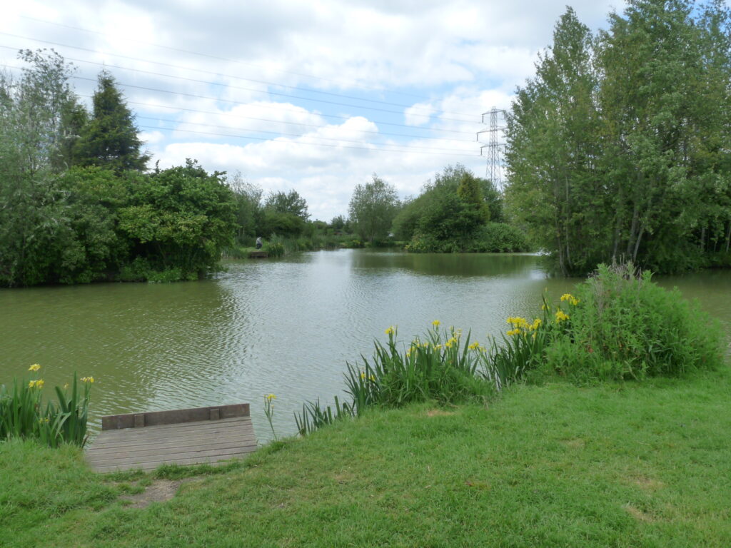 Weston Lawns Fishery