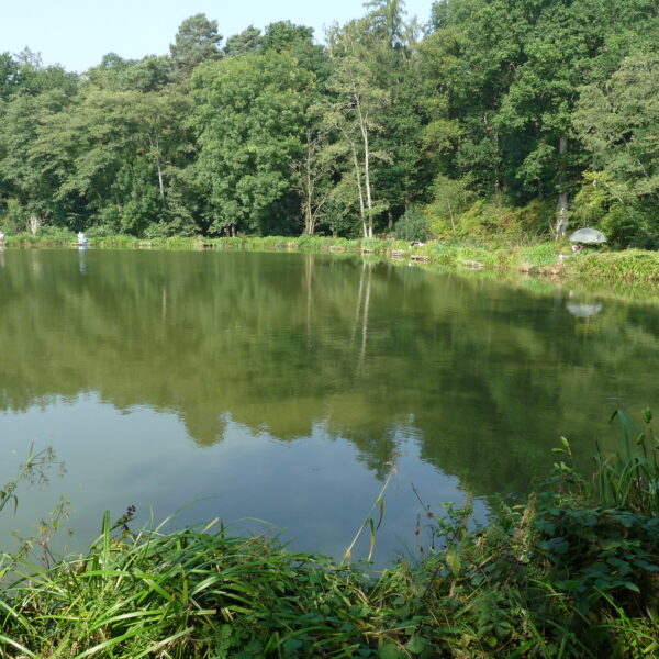 Furnace Mill Fishery in Worcestershire