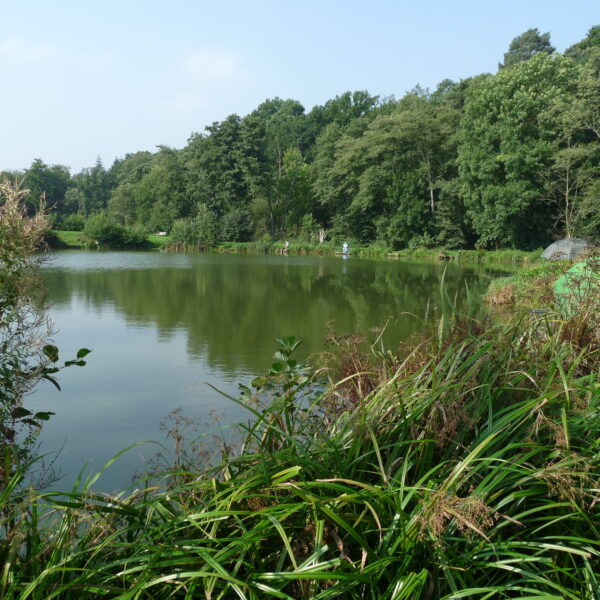 Furnace Mill Fishery in Worcestershire