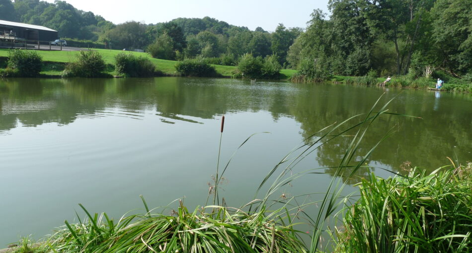 Furnace Mill Fishery in Worcestershire