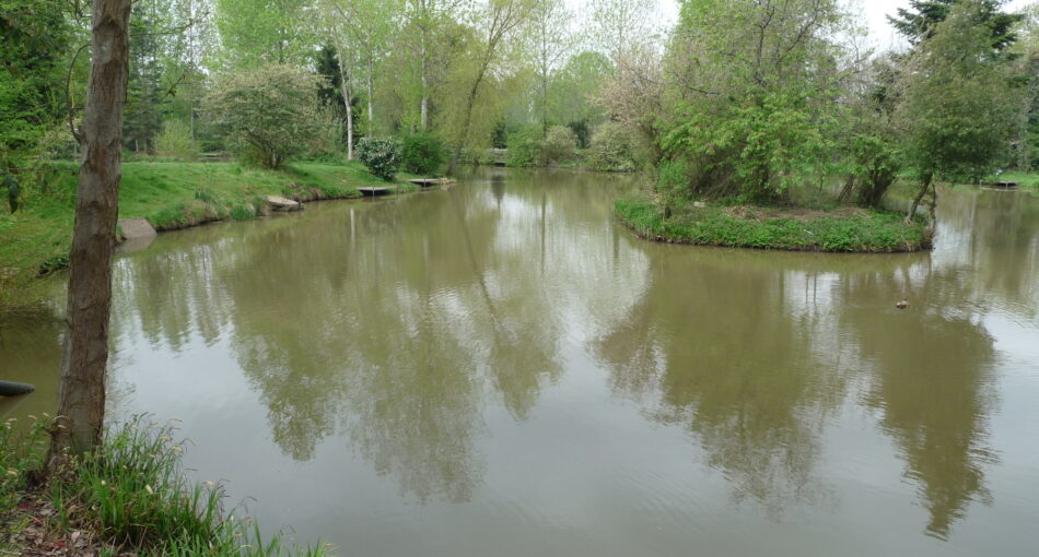 Bills Lane Pool at Woods Farm Fishery near Solihull