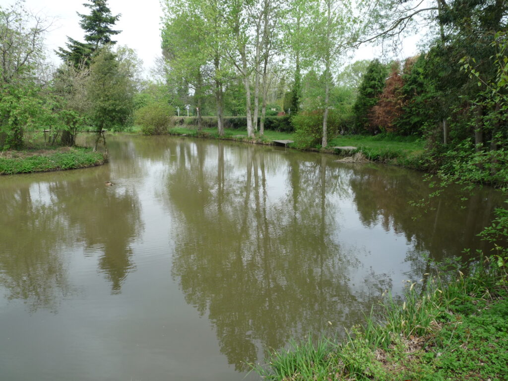 Woods Farm Fishery