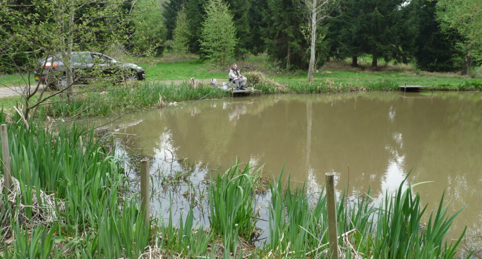 Pine Pool at Woods Farm Fishery near Solihull