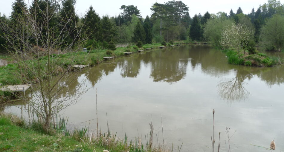 Drawbridge Pool at Woods Farm Fishery near Solihull