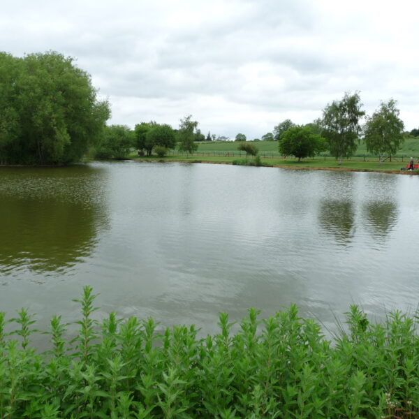 Hopsford Hall Fishery north of Coventry