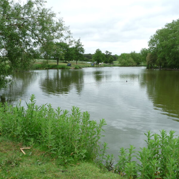 Hopsford Hall Fishery north of Coventry