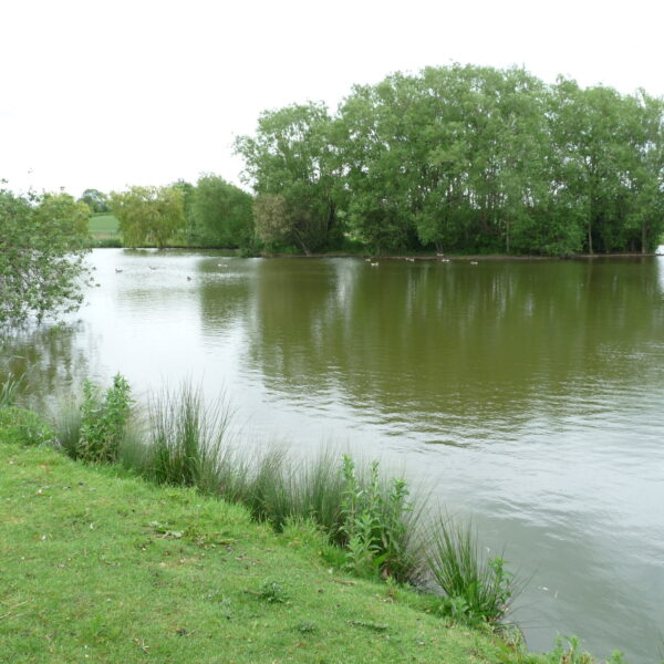 Hopsford Hall Fishery north of Coventry