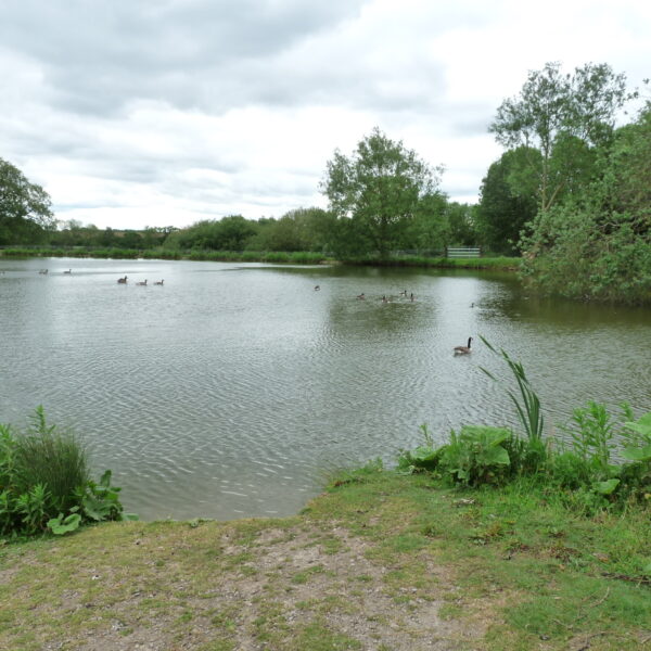 Hopsford Hall Fishery north of Coventry